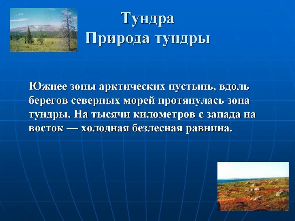 Природная зона южнее лесотундры. Презентация на тему природные зоны. Тундра холодная Безлесная равнина. Тундра природная зона. Экологические проблемы тундры.