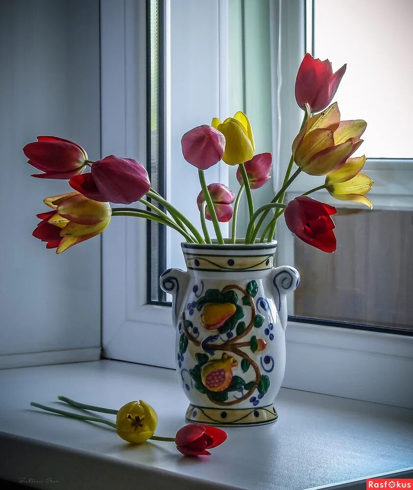 цветы на окне. тюльпаны в вазе на подоконнике. цветы на окне. цветы ваза окно. букет тюльпанов на окне.
