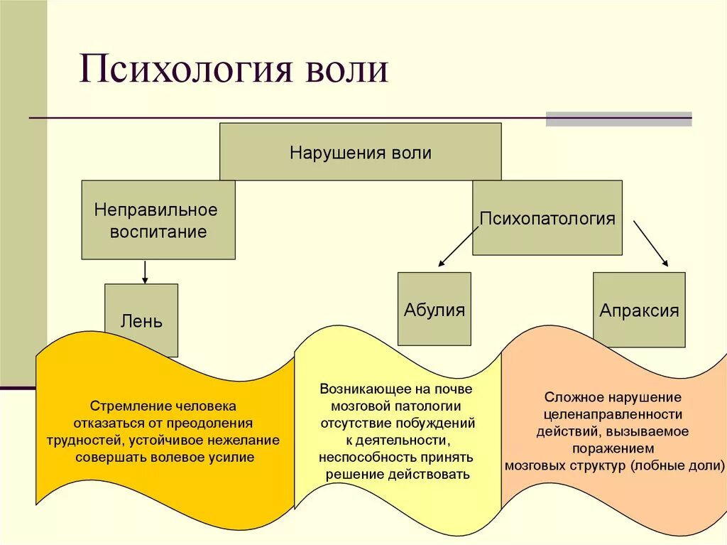 Сила воли это определение. Воля психология. Понятие воли в психологии. Воля это в психологии определение. Определение понятия Воля.