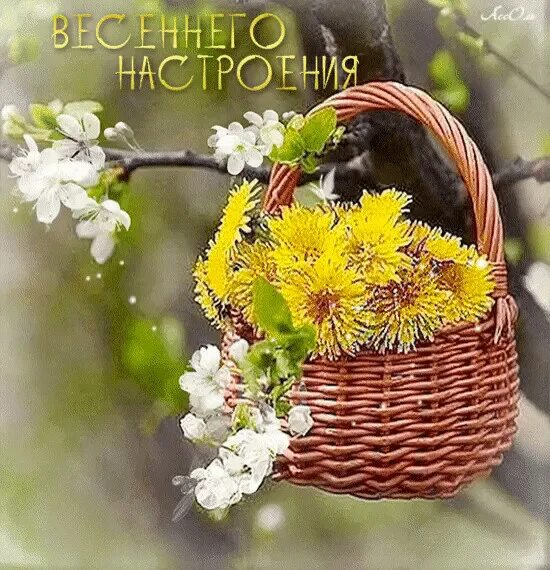 Добрый солнечный день весны