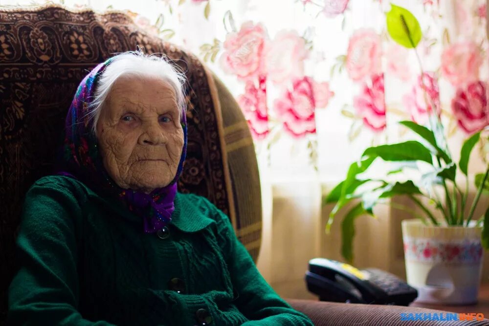 Бабушка получила. Бабушка ветеран. Бабушка ветеран войны. Бабушки ветераны фото. Бабушка ветеран с фиолетовыми волосами.