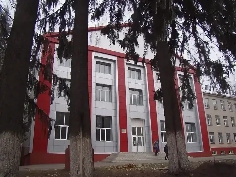 Нсхт новозыбковский. Новозыбков техникум. Новозыбковский педагогический колледж. Новозыбковский филиал. Новозыбковский сельскохозяйственный техникум.