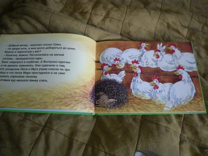 Орлов подарки для ежей. Ежик читает книжку. Орлов, в. н. подарки для Ёжика. Сказка. Книжка про ежика детская в первой главе Ежик ночует с медведем.