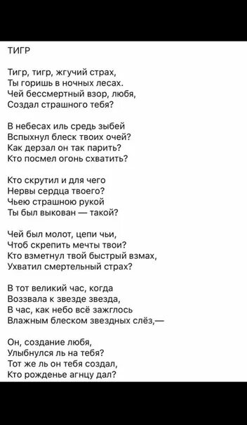 Стих тигр тигр жгучий страх. Тигр тигр жгучий страх ты горишь в ночных лесах. Стихотворение тигр тигр жгучий страх ты горишь в ночных лесах. Тигр тигр Менталист стих. Тигр тигр жгучий страх ты