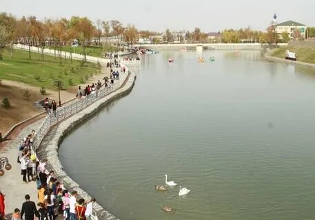 Тараз зона