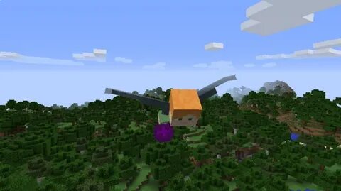 Elytra swap 1.16 5 forge