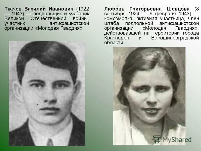 Молодая гвардия действовала на территории. В. И. Ткачев молодая гвардия.