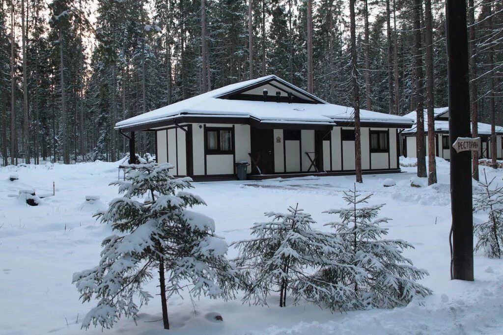 База ильичево дуплекс зимой. Ильичёво база отдыха. База отдыха ильичево спб. Бунгало ильичево. Бунгало ильичево.