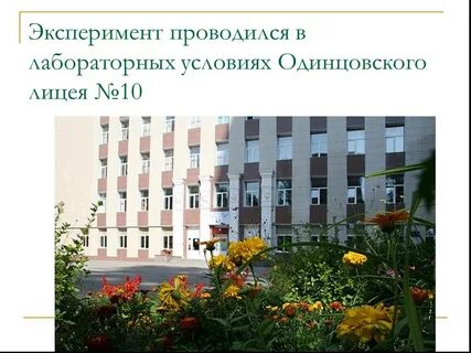 Одинцовский десятый лицей