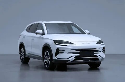 Byd champion edition