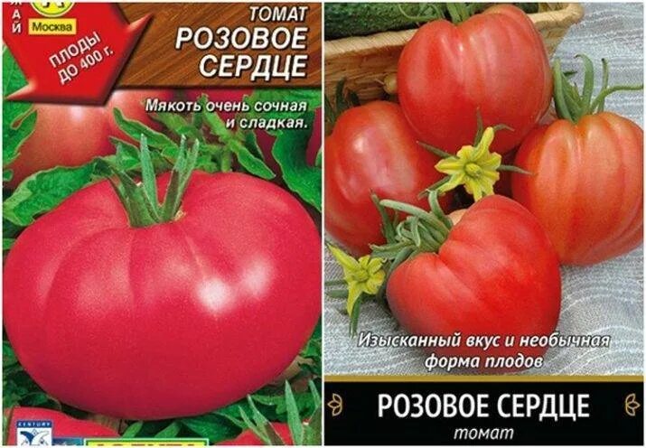 Помидоры розовое сердце. Томат розовое сердце агрони. Томат розовое сердце характеристика. Томат Шарада. Сорт томатов Шарада.