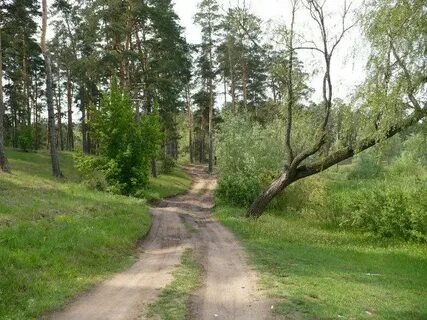 Васильевские озера