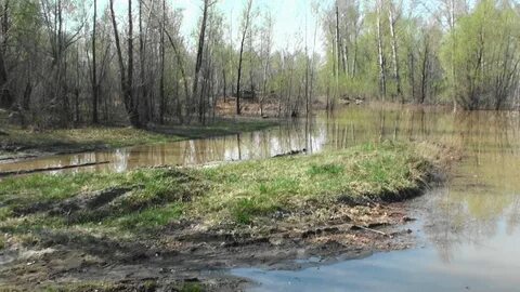 Первый барнаул затон