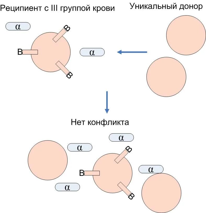 Реципиент и донор отличия. Универсальный реципиент группа крови. Группы крови доноры и реципиенты. Донор реципиент схема. Какая группа крови реципиент.