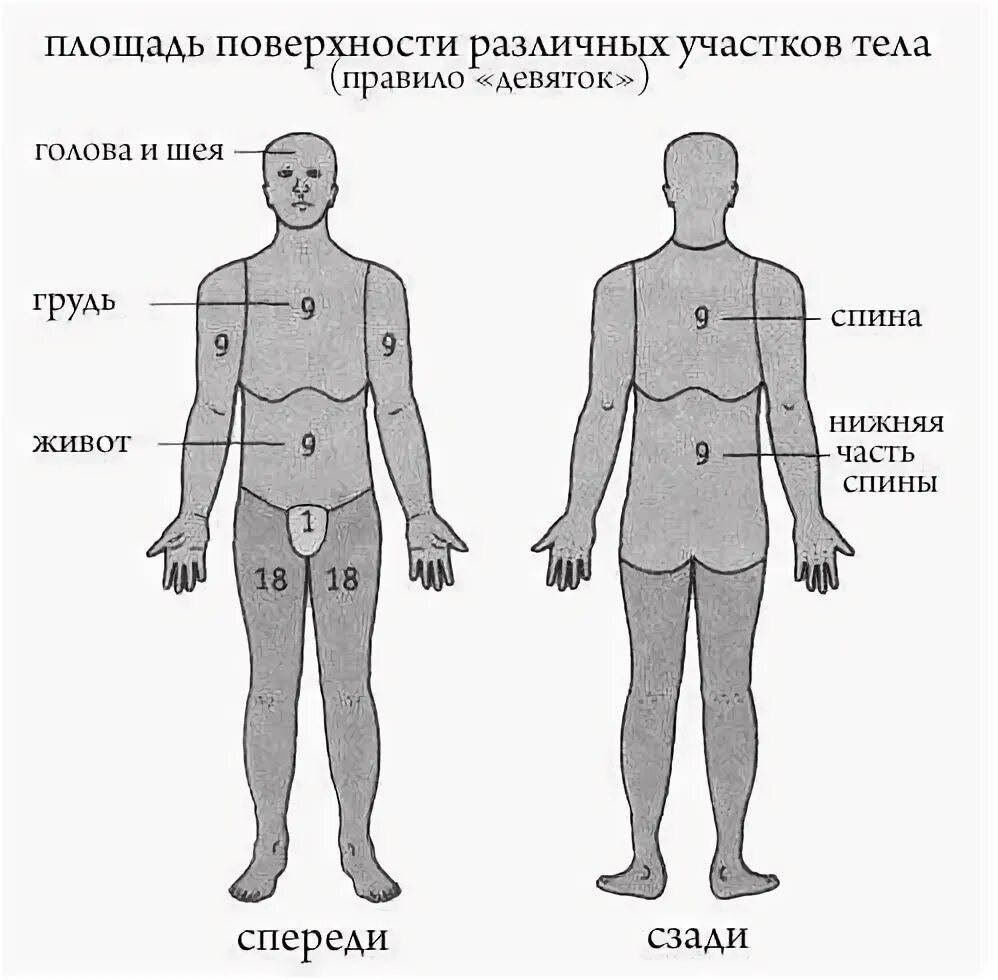 Ожоги проценты поражения. Классификация по степени ожогов определения площади ожогов. Термические ожоги площадь поражения. Классификация по площади ожогового поражения кожи. Ожоги. Классификация. Правила определения ожоговой поверхности.