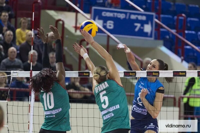 Динамо калининград волейбол. Жвк динамо москва. Динамо против локомотива волейбол. Волейболистки россии. Динамо калининград волейбол.