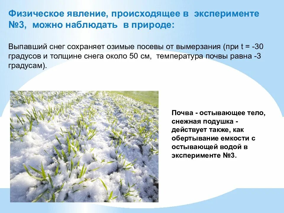Какое физическое явление наблюдается. Какое физическое явление наблюдается