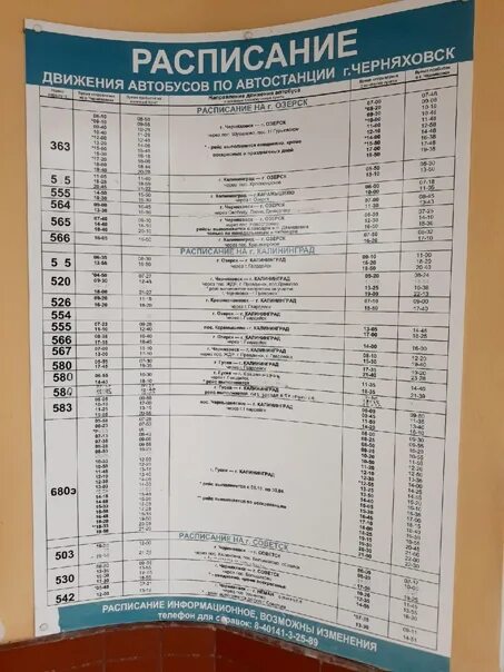 Автовокзал советск расписание автобусов на калининград. Расписание автобусов Черняховск Калининград. Автостанция Черняховск. Расписание автобусов Гусев Калининград. Автобус Черняховск.