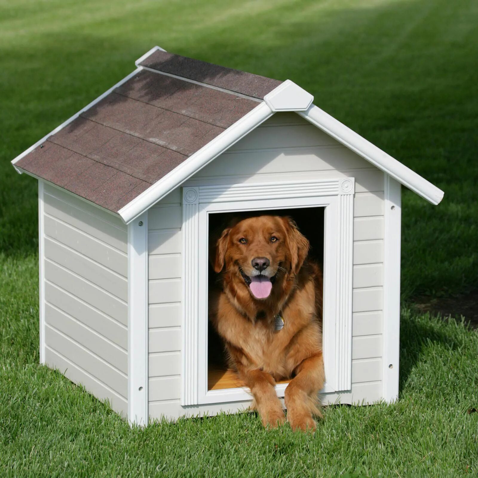 Собака с конурой. Собачья будка. Б̶у̶т̶к̶а̶ д̶л̶я̶ с̶о̶б̶а̶к̶. Красивые будки для собак. Новый dog house
