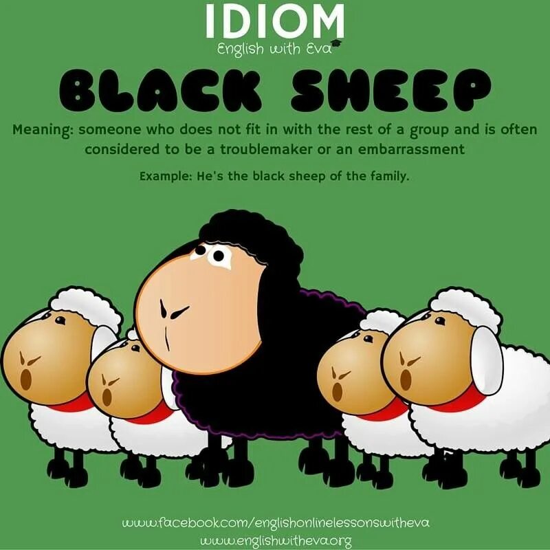 Black Sheep idiom. Идиомы Black Sheep. Идиомы на английском. Black Sheep of the Family идиома. Черная поговорка