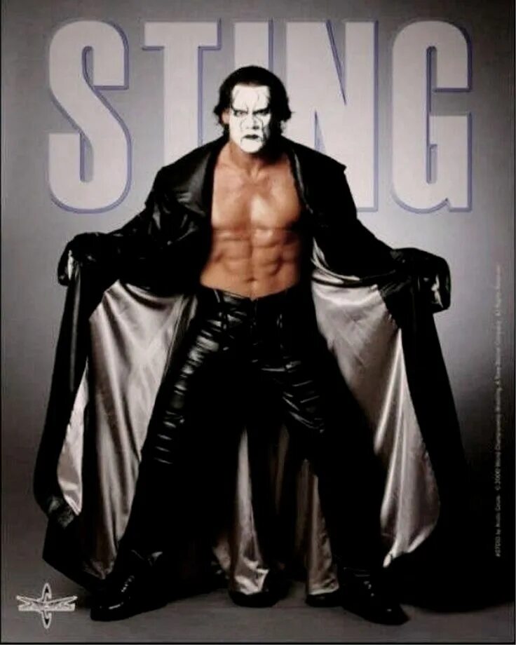 Как сделать стинг из бумаги. Стинг wcw. sting wwe. боец стинг реслинга. стив борден рестлеры.