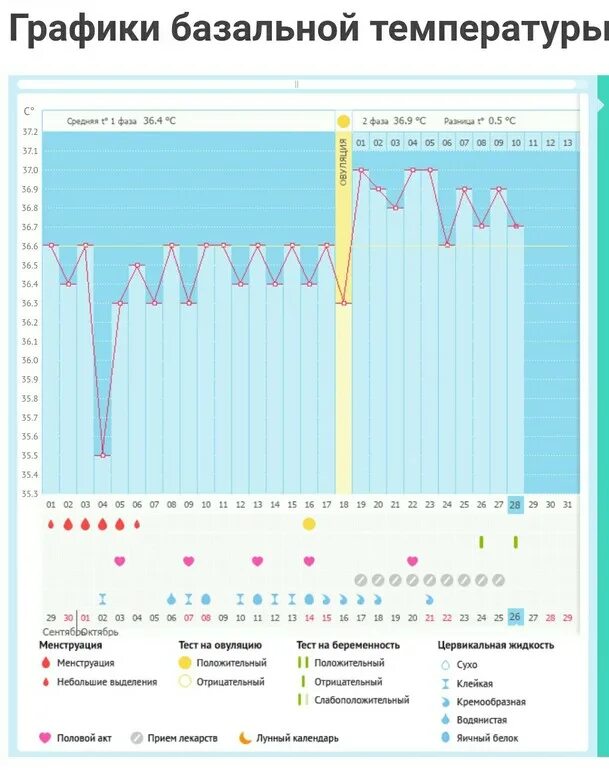 Базальная температура при беременности какая должна быть. График беременности базальная температура. Беременный график БТ С поздней овуляцией. График базальной температуры при беременности. График БТ С ранней овуляцией и беременный.