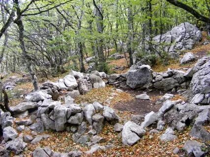Каменистый территория