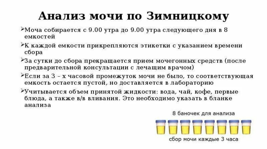 До какого времени принимают мочу