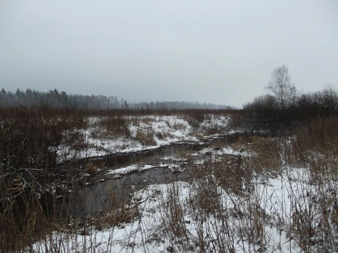 станция елизаветино. колонтаево фрязево. колонтаево платформа ярославского направления. платформа колонтаево. московская область платформа колонтаево.