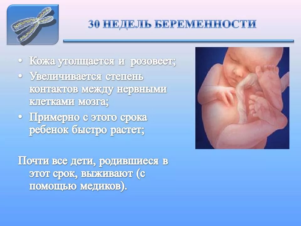 30 недель это. Срок беременности 30 недель. Плод на 30 неделе беременности.