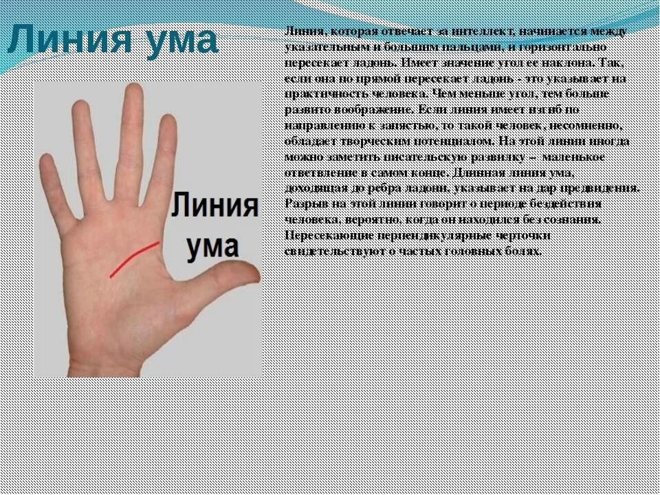 Line значение. Линия ума. Линия ума на ладони. Линия головы ума на ладони. Линии на ладони линии ума.