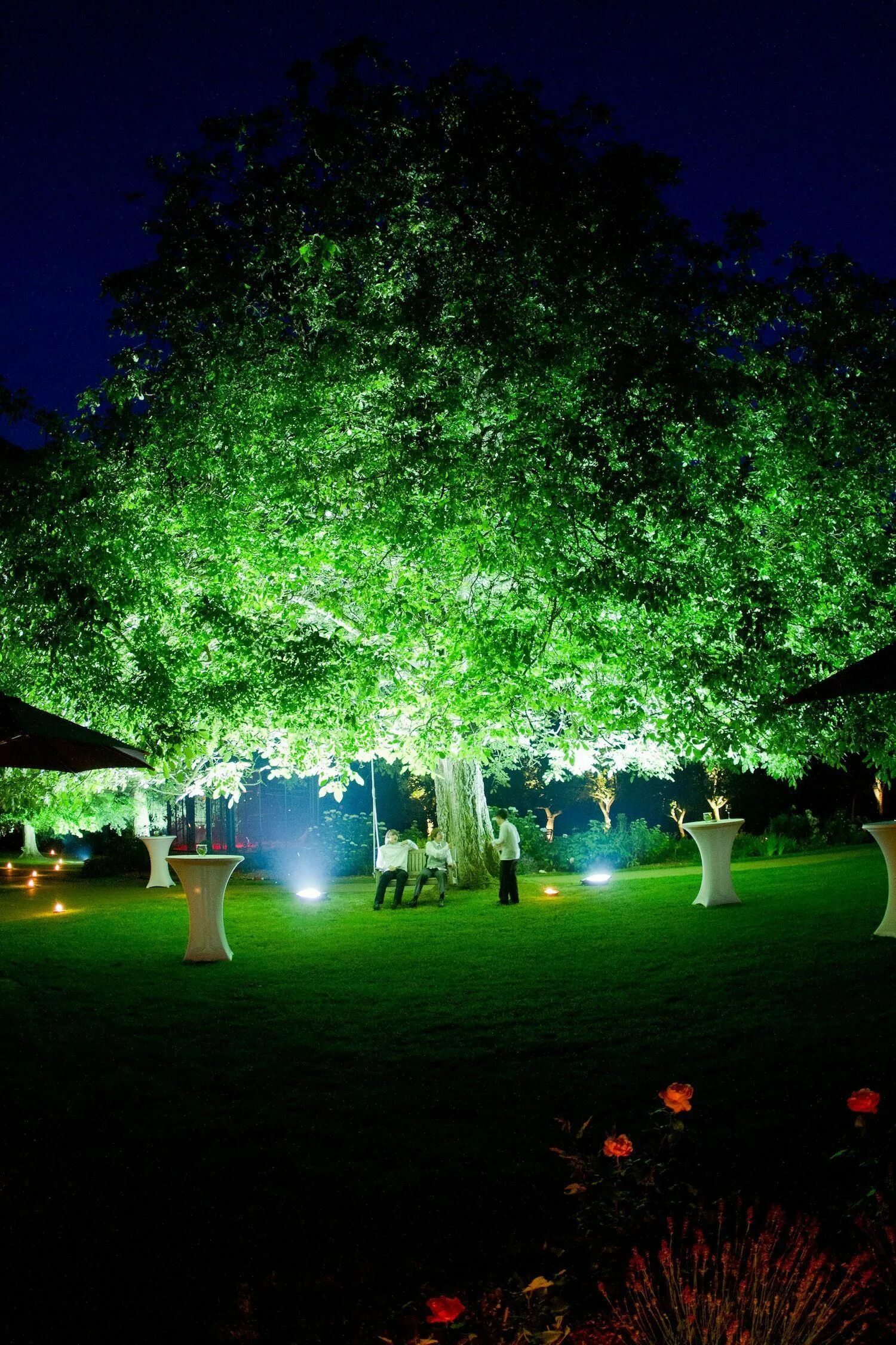 Tree lighting