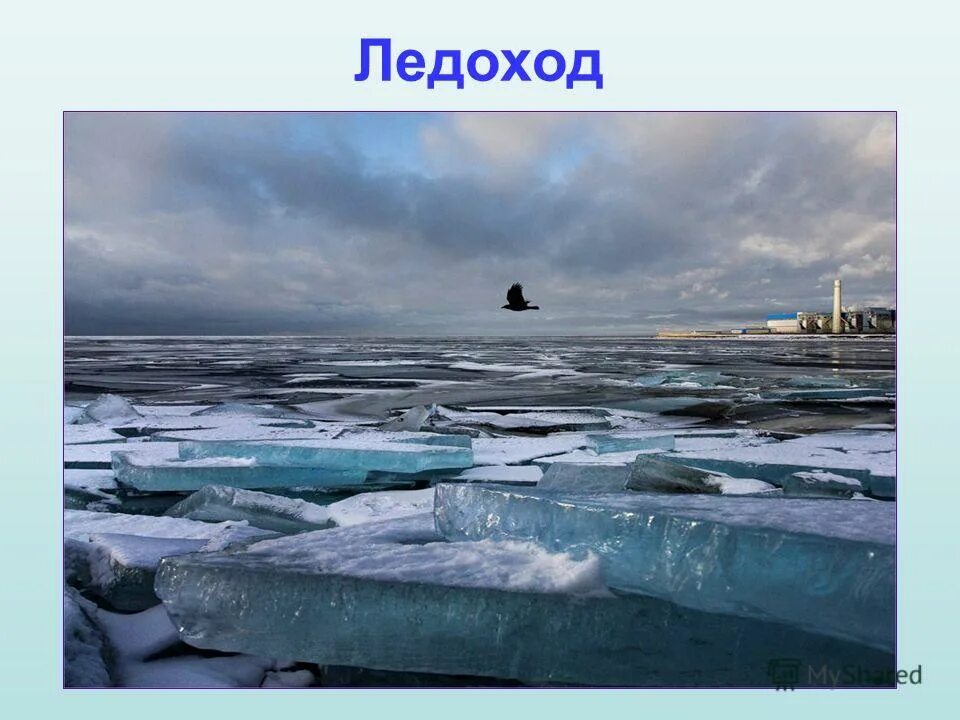 тает снег и лед. ледоход окружающий мир. ледоход это явление природы. ледоход на реке. ледоход какое явление.