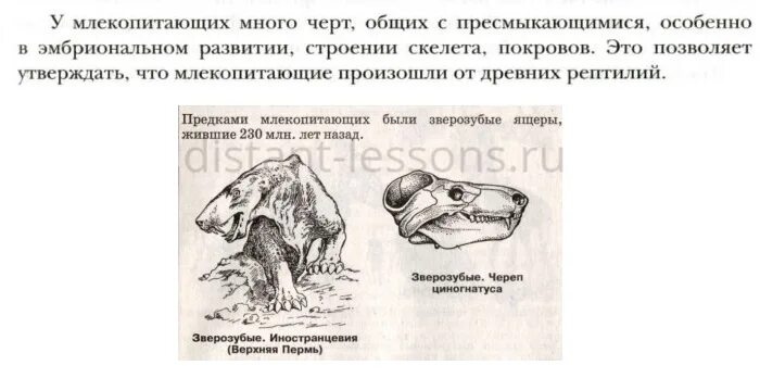 Поведение млекопитающих 8 класс презентация