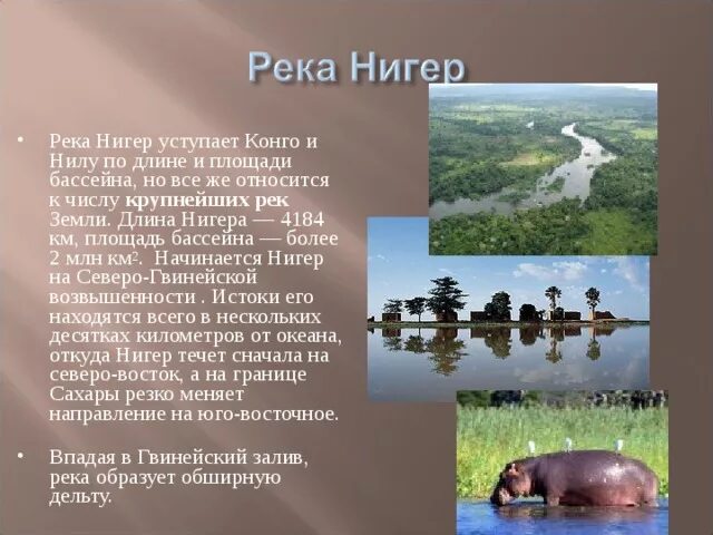 К бассейну какого океана относится река африки. Река нигер. Река нигер доклад. Характеристика реки нигер. Река Конго доклад.