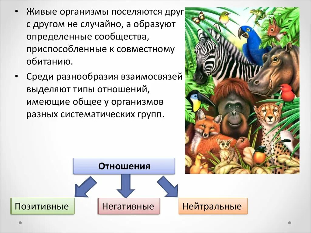 Совокупность совместно обитающих организмов