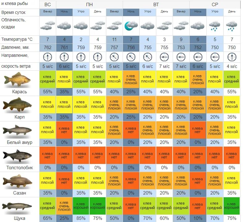Клев рыбы. Прогноз клёва рыбы. Календарь клева рыбы. Рыбалка клев.