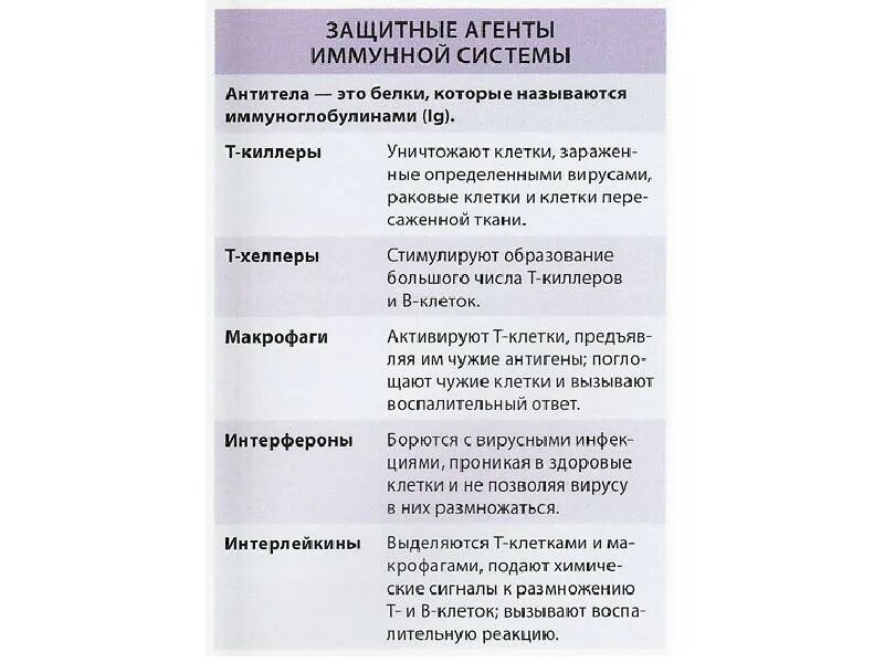 Основные иммунные клетки. Клетки иммунной системы и их функции. Иммунная система организма таблица. Характеристика клеток иммунной системы. Клетки иммунной системы таблица.