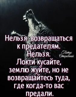 Предатель не возвращайся читать