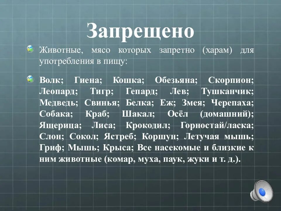 Можно есть конину мусульманам. Запреты в Исламе в еде. Что нельзя есть мусульманам. Какие животные нельзя есть в Исламе.