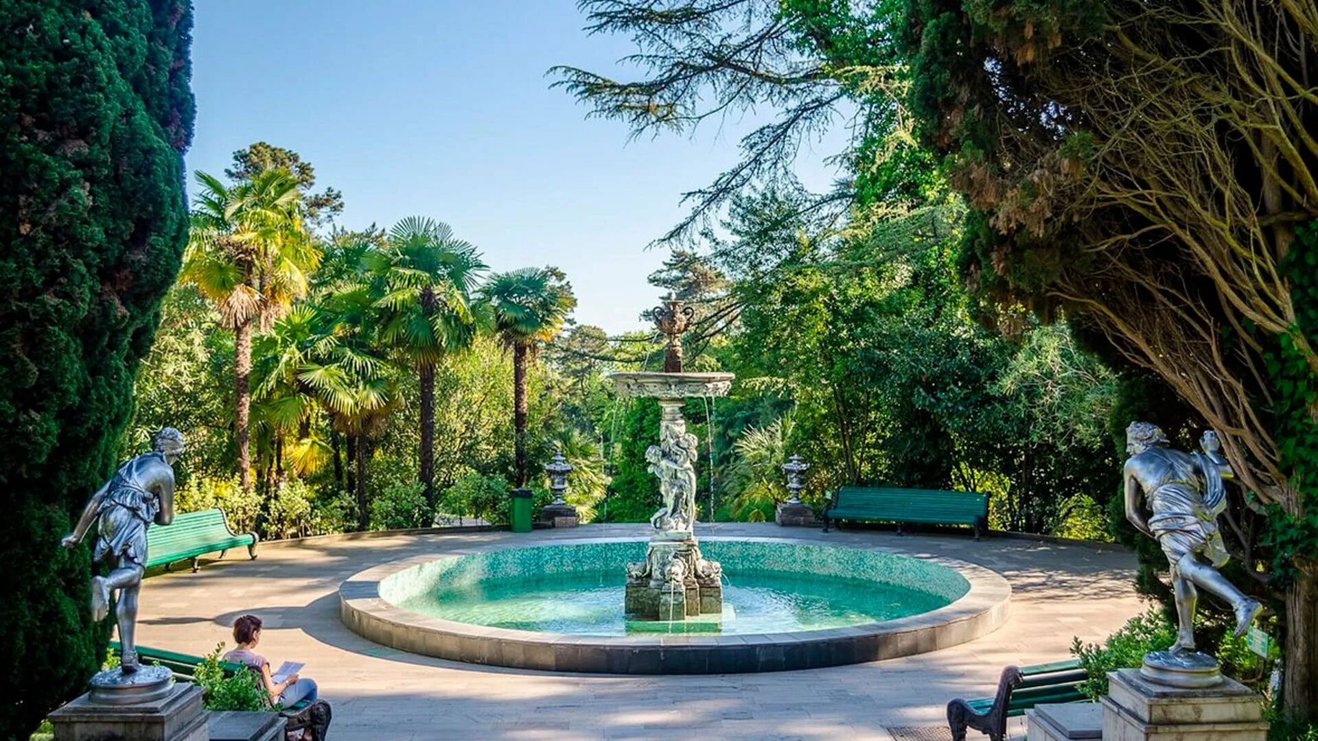 Сочинский дендрарий адлер. Парк дендрарий сочи. Сочинский дендрарий адлер. Парк дендрарий адлер. Парк дендрарий сочи.