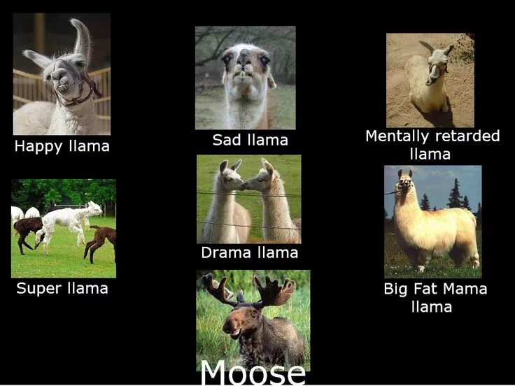 Happy lama sad lama. Логотипа счастливой ламы. Хепи лама сэд лама менталидестарт лама супер лама драма лама. Хэппи лама сэд лама текст. Хэппи лама.