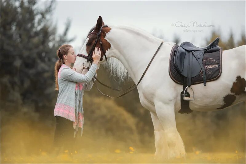 Взаимоотношения лошади и человека. Человек на лошади. Лошадки и люди. Человек конь. Лошадь и человек Дружба.