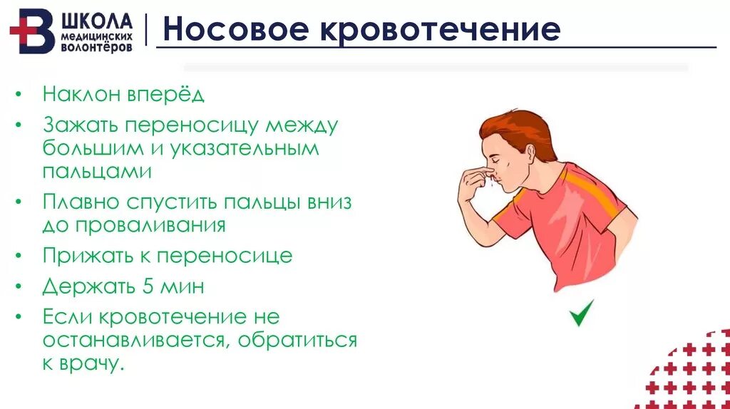 Какое положение при носовом кровотечении. Нососовое кровотечение. Причины носового кровотечения. Носовое кровотечение оказание первой помощи. Остановка носового кровотечения.