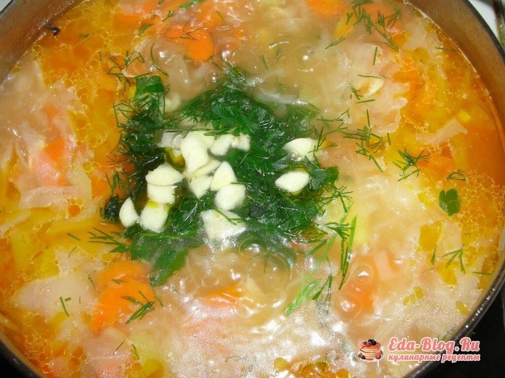 столовские щи. щи из квашеной капусты от юлии высоцкой. сибирские щи. капустница (суп). как сварить постные щи.