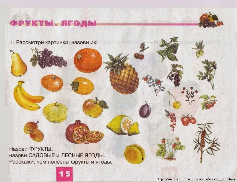 Фрукты в саду презентация. Занятие фрукты сад. Овощи задания для дошкольников. Развивающие игры для дошкольников. Лексическая тема овощи и фрукты в подготовительной группе.