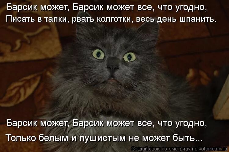 Анкеты персонажей для писателей. Сказать можно все что угодно. Ивлин во цитаты. Уилл смит цитаты. Писать можно что угодно.