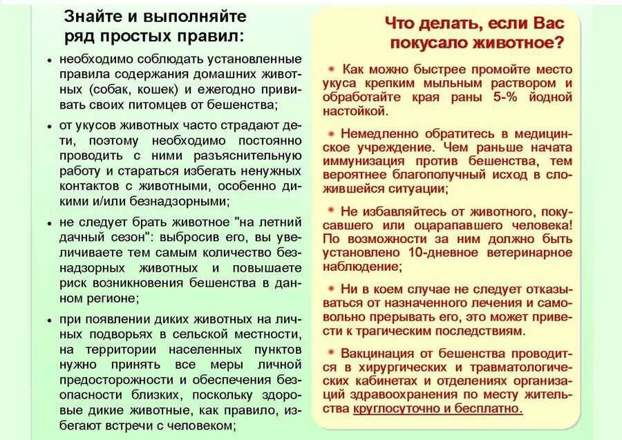 Что делать если укусила кошка