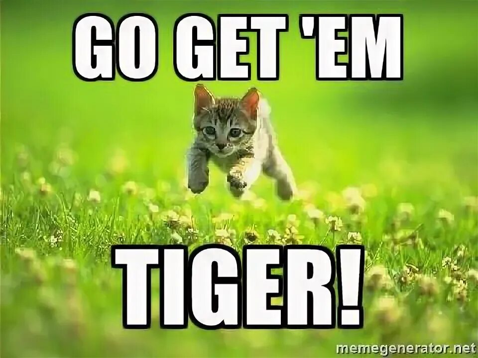 Go get'em, Tiger!. Go get them Tiger. Got em. They got. Go get https