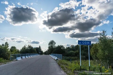 Погода кощино на 10 дней